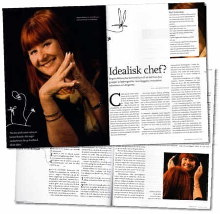 idealisk chef